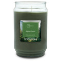 Single-Wick scented Glass jar candle Alpine Forest 20oz