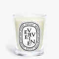 VERVEINE (LEMON VERBENA) Classic Candle 6.5 oz New