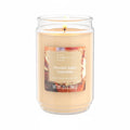 Single-Wick Scented Glass jar candle Frosted spice cupcakes 20oz